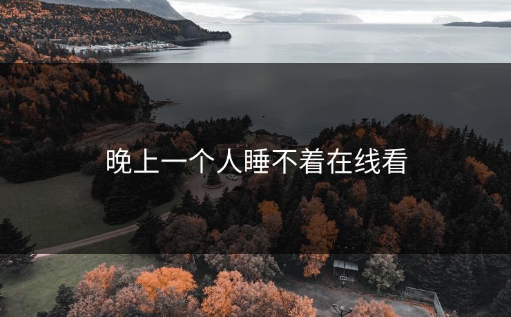晚上一个人睡不着在线看