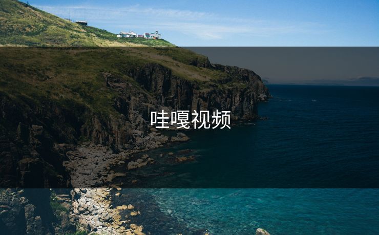 哇嘎视频