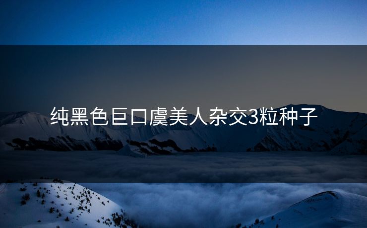 纯黑色巨口虞美人杂交3粒种子