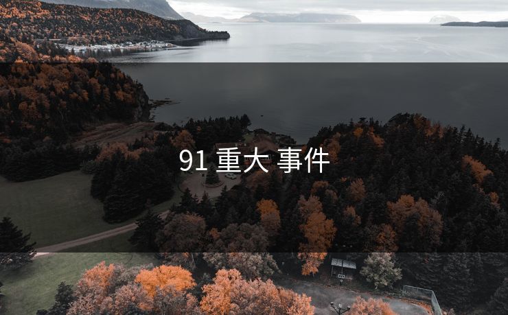 91 重大 事件